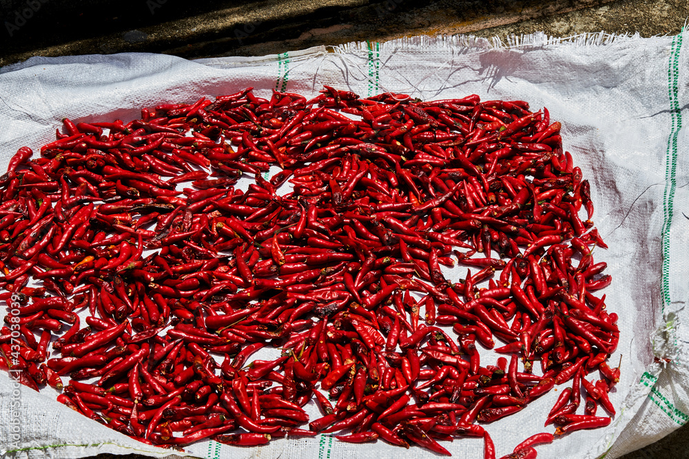 Fototapeta premium red chili peppers on the white fertilizer bag