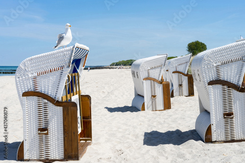 Seagull on a beautiful beach chair in the sand on a sunny, relaxed day on the coast of Mecklenburg Western Pomerania, East Germany 