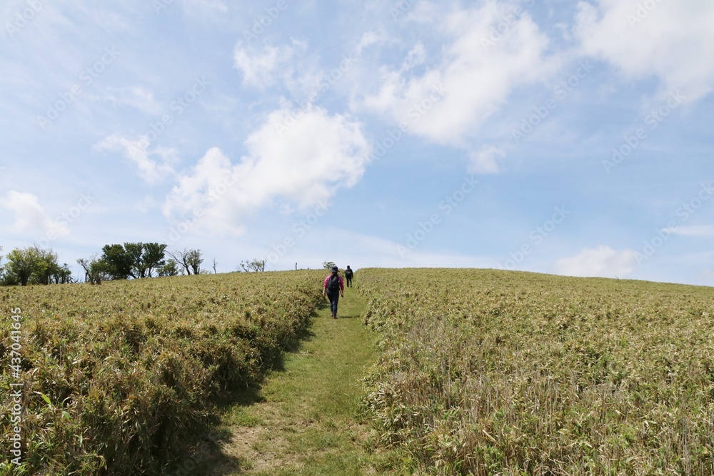 伊豆山稜歩道の風景。伊豆の山々の尾根道を歩くコース。伊豆の高原、山々を眺めを楽しみながらのウオーキング。