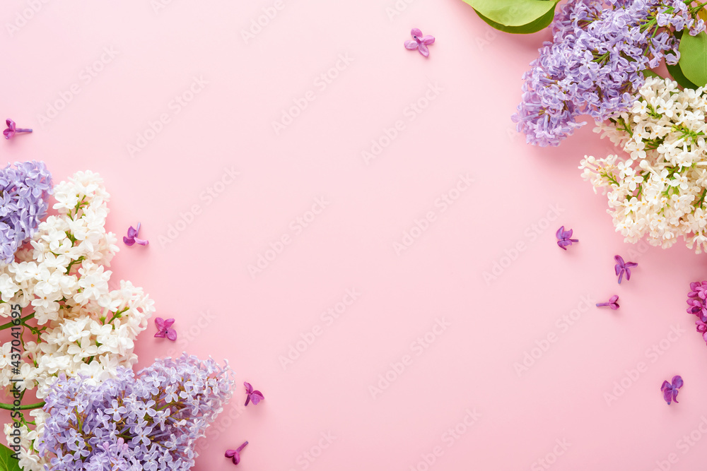 Bouquet of beautiful white and purple lilac on pink background. Top view. Festive greeting card with peony for weddings, happy womens day, Valentines and Mothers day. Bouquet of beautiful white and purple lilac on pink background. Top view. Festive greeting card with peony for weddings, happy womens day, Valentines and Mothers day.
