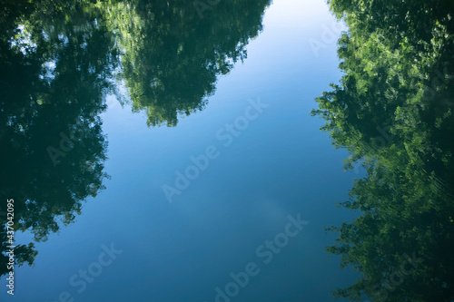 Fototapeta Naklejka Na Ścianę i Meble -  Reflection of tree in a lake 