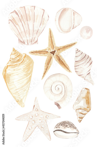 Watercolor seashell,  starfish, pearl Watercolor Summer Beach Seashell Tropical Elements, Underwater Creatures.