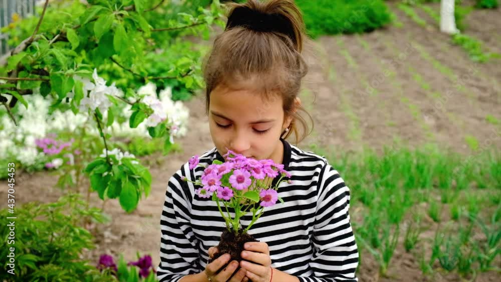 The child is planting flowers in the garden. Selective focus. The child is planting flowers in the garden. Selective focus.