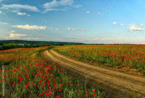 dirt road among fields with red poppy flowers. 