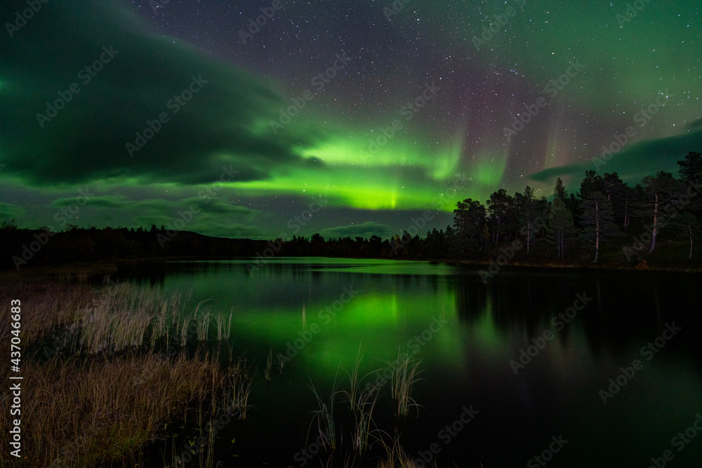 Northern lights, Torneträsk, Abisko, Sweden
