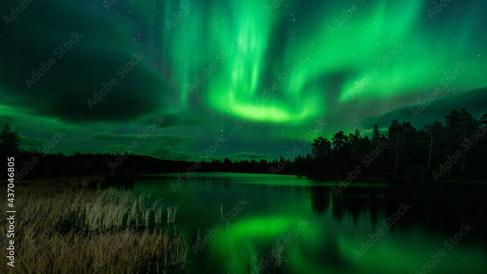 Αυτοκόλλητο Northern lights, Torneträsk, Abisko, Sweden