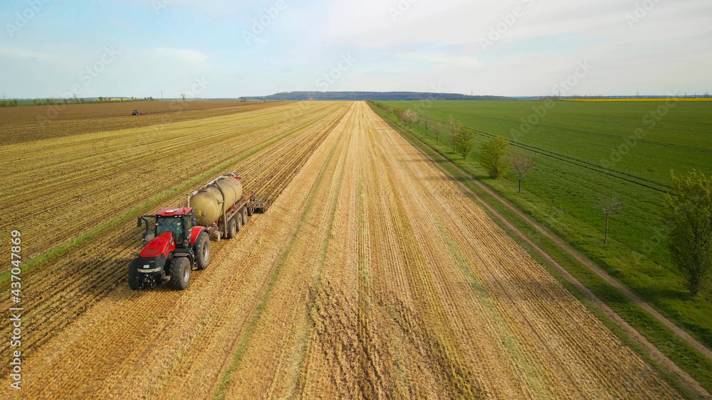 Flight behind a tractor digging the field Flight behind a tractor digging the field