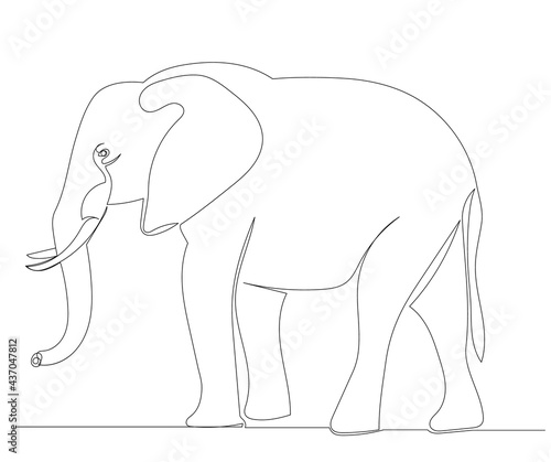 elephant drawing by one continuous line isolated  vector