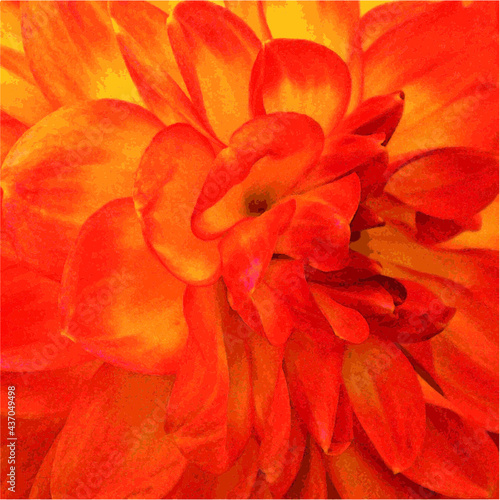 Blüte