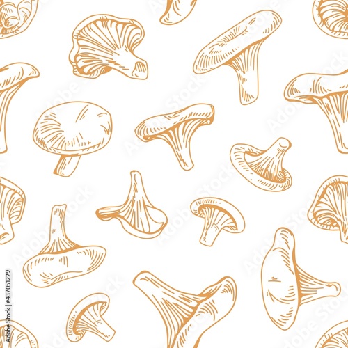 Seamless pattern with outlined chanterelle mushrooms on white background. Endless repeating texture with fungi engraving for printing. Hand-drawn contoured vector illustration in vintage style