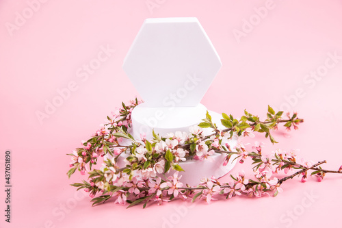 Pink flowers on a pink paper background - a minimal scene with geometric shapes for advertising cosmetics. Horizontal orientation