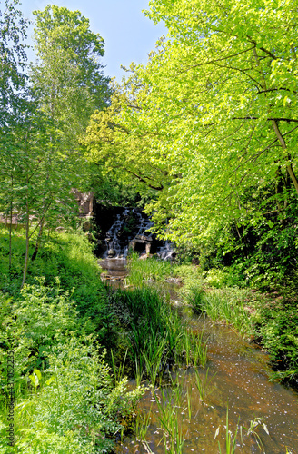 The Cascade - England Surrey - Virginia Water