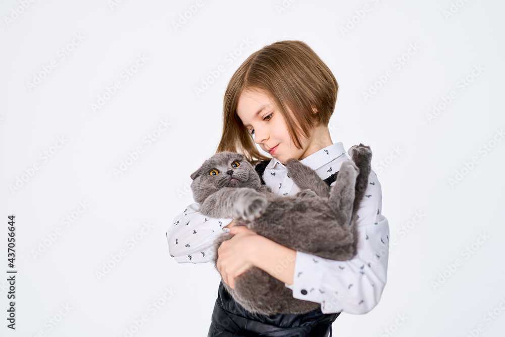Caucasian little girl holds her cat in the arms Caucasian little girl holds her cat in the arms