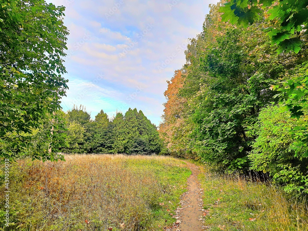 Naklejka premium Russia, Moscow region, Balashikha, sky, nature, forest, road