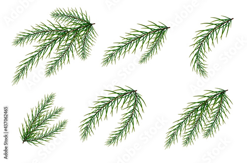 A set of fir branches. New Year s and Christmas. The Christmas tree.