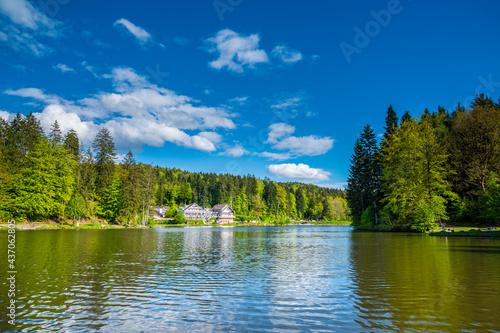 Germany, Ebnisee lake near kaisersbach in idyllic green forest nature landscape with old houses and beautiful scenery under blue sky