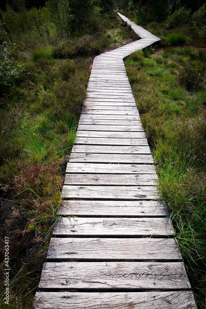 Change course concept: a wooden walkway with a kink or bend over the moor Pietzmoor in northern Germany.