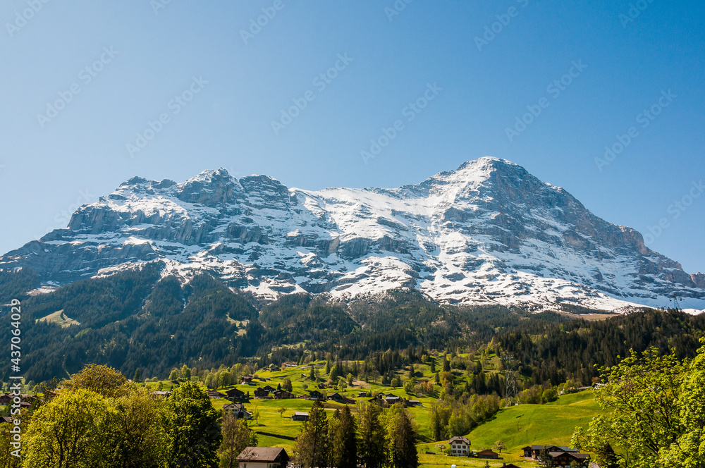 Obraz premium Grindelwald, Eiger, Eigernordwand, Mönch, Jungfrau, Fiescherhörner, Finsteraarhorn, Alpen, Berner Oberland, Kleine Scheidegg, Wanderweg, Männlichen, Lauberhorn, Bergdorf, Frühling, Sommer, Schweiz