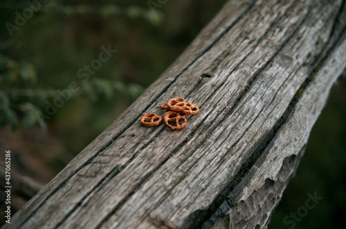 Close up of salty snacks. Pretzels in the wild nature lying on the tree trunk. Soft blurred background of the forest