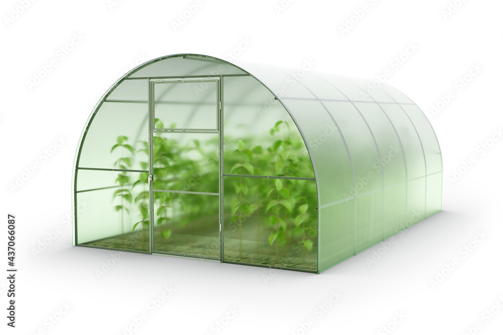 greenhouse vegetables clipart