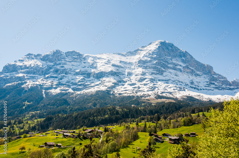 Grindelwald, Eiger, Eigernordwand, Mönch, Jungfrau, Alpen, Berner Oberland, Kleine Scheidegg, Wanderweg, Männlichen, Lauberhorn, Bergdorf, Frühling, Sommer, Schweiz Grindelwald, Eiger, Eigernordwand, Mönch, Jungfrau, Alpen, Berner Oberland, Kleine Scheidegg, Wanderweg, Männlichen, Lauberhorn, Bergdorf, Frühling, Sommer, Schweiz