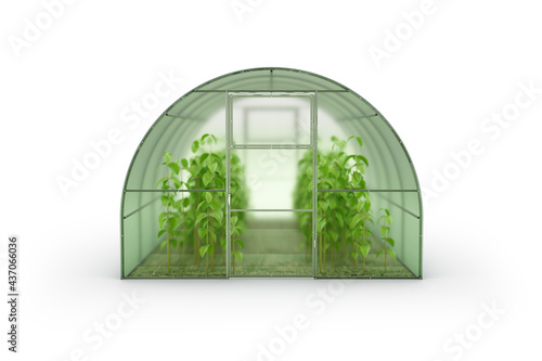 Fototapeta Naklejka Na Ścianę i Meble -  Farm greenhouse for growing plants, fruits, berries, vegetables, flowers. Visualization of a hotbed with green ripe plantings. Clipart. 3d rendering