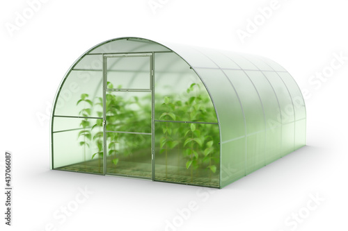 Farm greenhouse for growing plants, fruits, berries, vegetables, flowers. Visualization of a hotbed with green ripe plantings. Clipart. 3d rendering photo