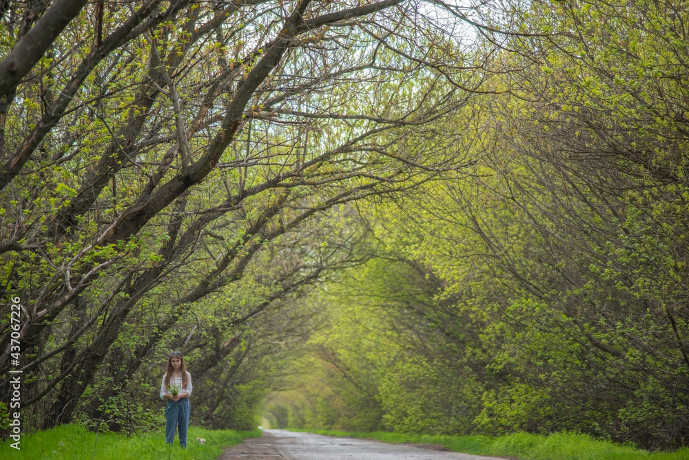 Obraz premium fashionable little girl standing walking on the road against the background of an arch of green branchy trees