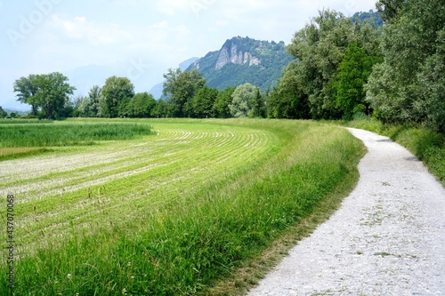 Dirt road and green fields in the Northern Adda Park 