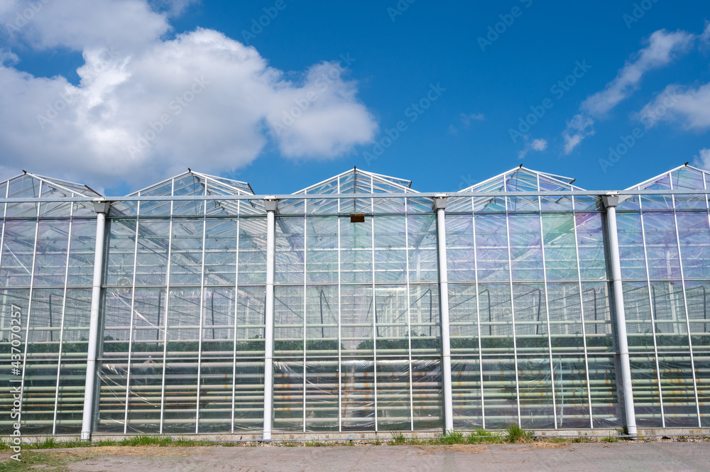 Agriculture in Netherlands, big glass greenhouses used for growing organic vegetables and fruits, Zeeland