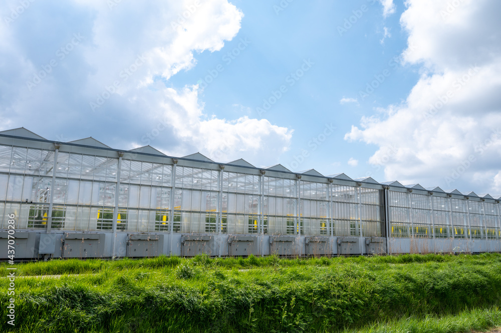 Agriculture in Netherlands, big glass greenhouses used for growing organic vegetables and fruits, Zeeland Agriculture in Netherlands, big glass greenhouses used for growing organic vegetables and fruits, Zeeland