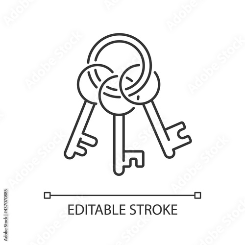 Key chain linear icon. Steel keychain, metallic keyring. Solving puzzles, clues for riddles. Thin line customizable illustration. Contour symbol. Vector isolated outline drawing. Editable stroke