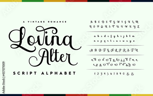 Alphabet typeface script style. Vector illustration fonts a to z and number. Typography handwriting font set. 