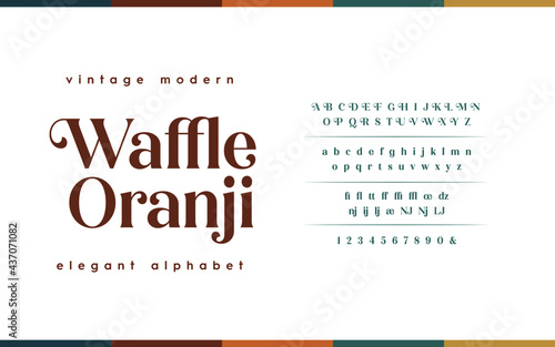 Classic typography serif font. Uppercase, lowercase, ligatures, ampersand, alternate, and number. Lettering Minimal Fashion Designs Romance Elegant.  Vector illustration word. 