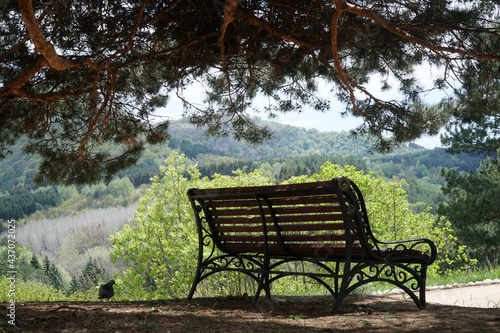 A bench on a slope under a pine tree. Mountains. Caucasus
