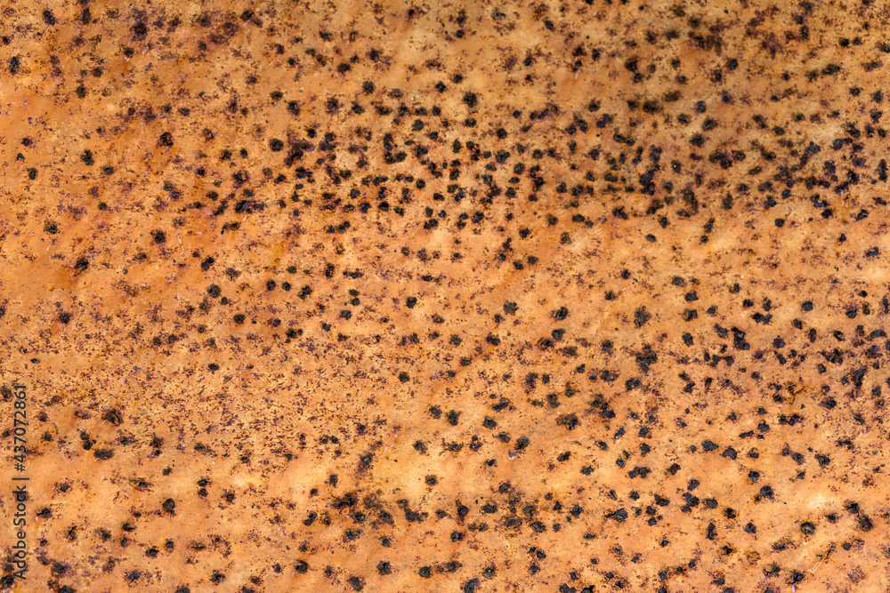 Metal old background. Metal surface rusty and coarse. Metal old background. Metal surface rusty and coarse.
