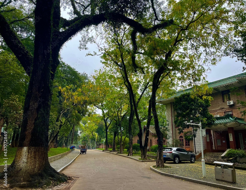 Fototapeta premium spring in the park