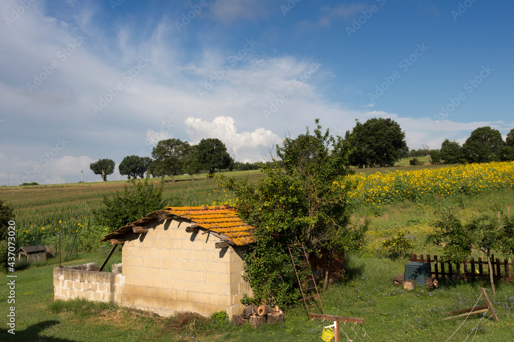 Perugia province, beautiful view of farm fields in the countryside, Umbria, Italy
Perugia province, beautiful view of farm fields in the countryside, Umbria, Italy