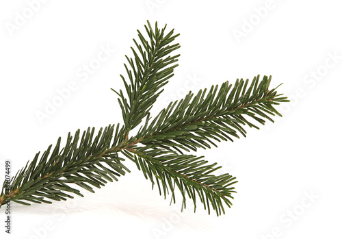 Branche de sapin de No  l Nordmann 