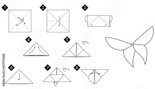 Step by step instructions how to make origami butterfly. DIY from paper vector monochrome line guide illustration.
