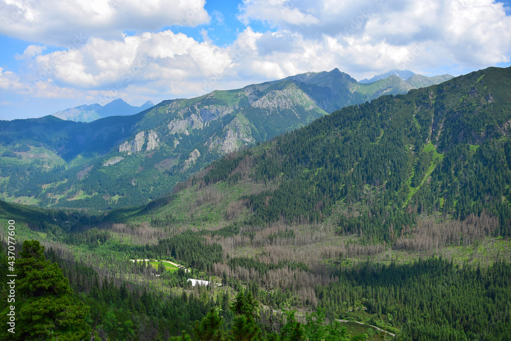 Beautiful landscape in the High Tatras near lake Morskie oko. Slovakia, Poland.