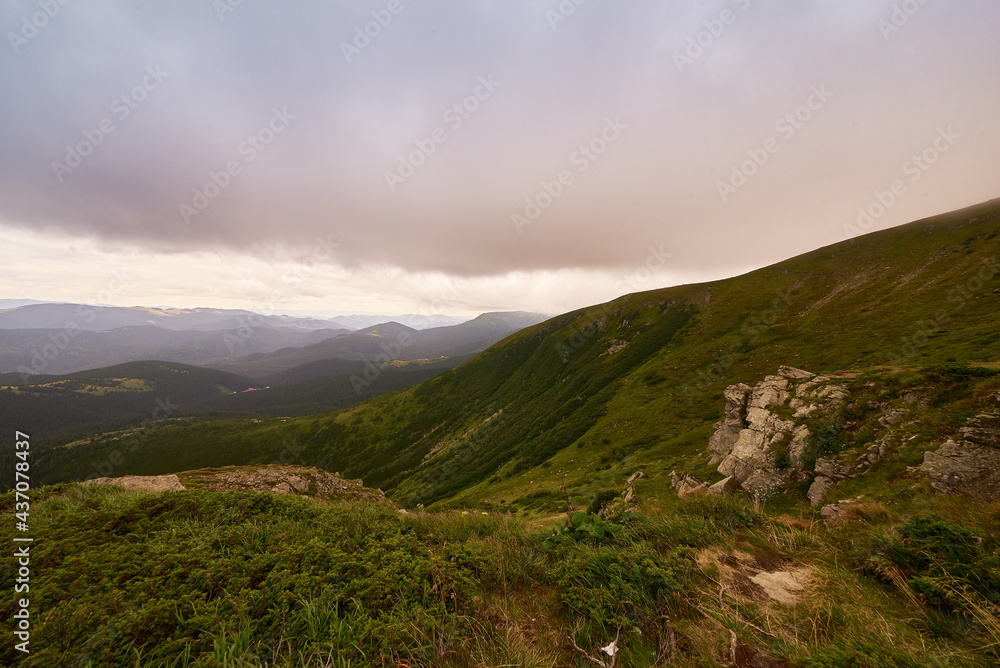 mountain view with brown and green grass. Carpathians