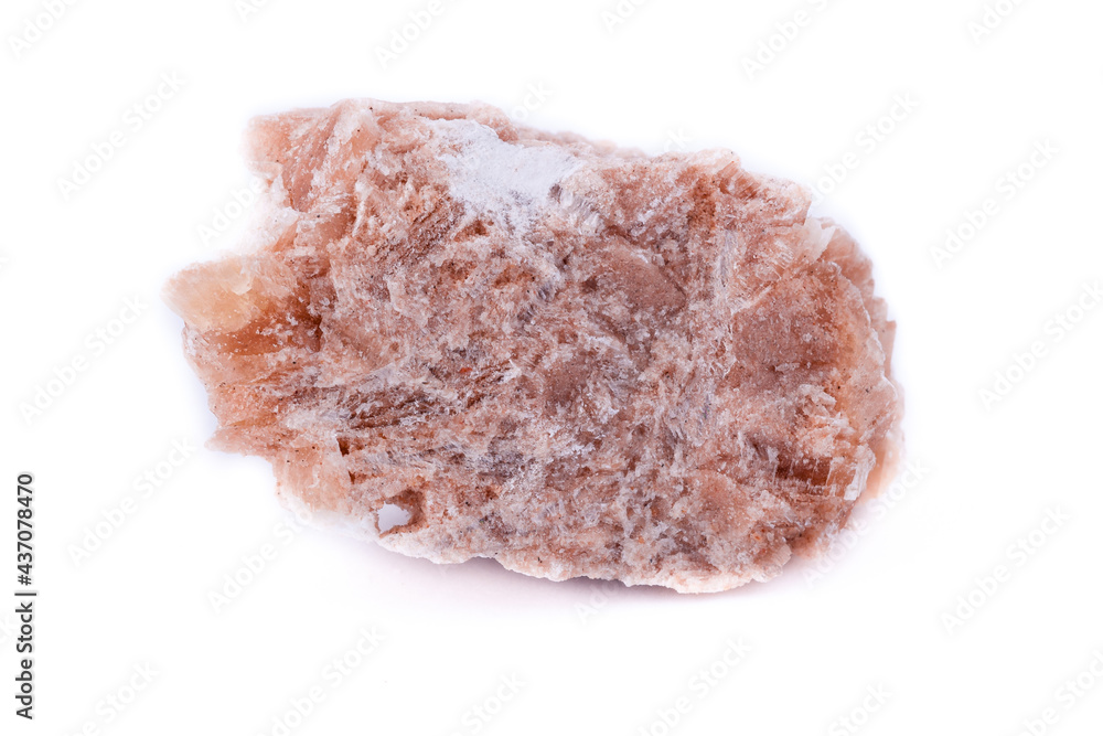macro mineral-stone in the desert rose on a white background macro mineral-stone in the desert rose on a white background