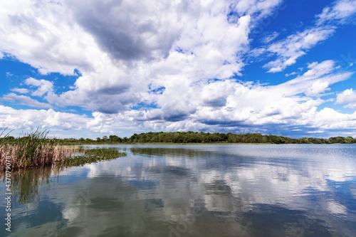 Looking out over a rural Wisconsin lake, Ashippun Lake in Waukesha county.  Cumulus clouds are reflected in the calm waters.  Shoreline is covered by cattails and lilly pads. © Jennifer