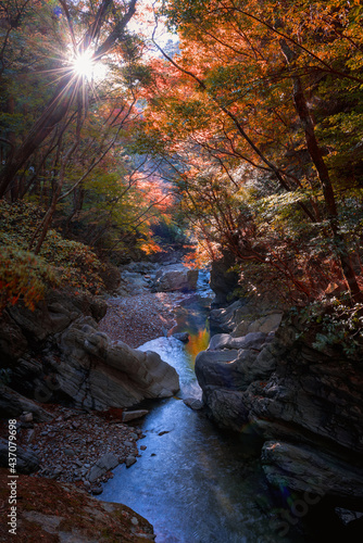Mountain river in colorful autumn forest