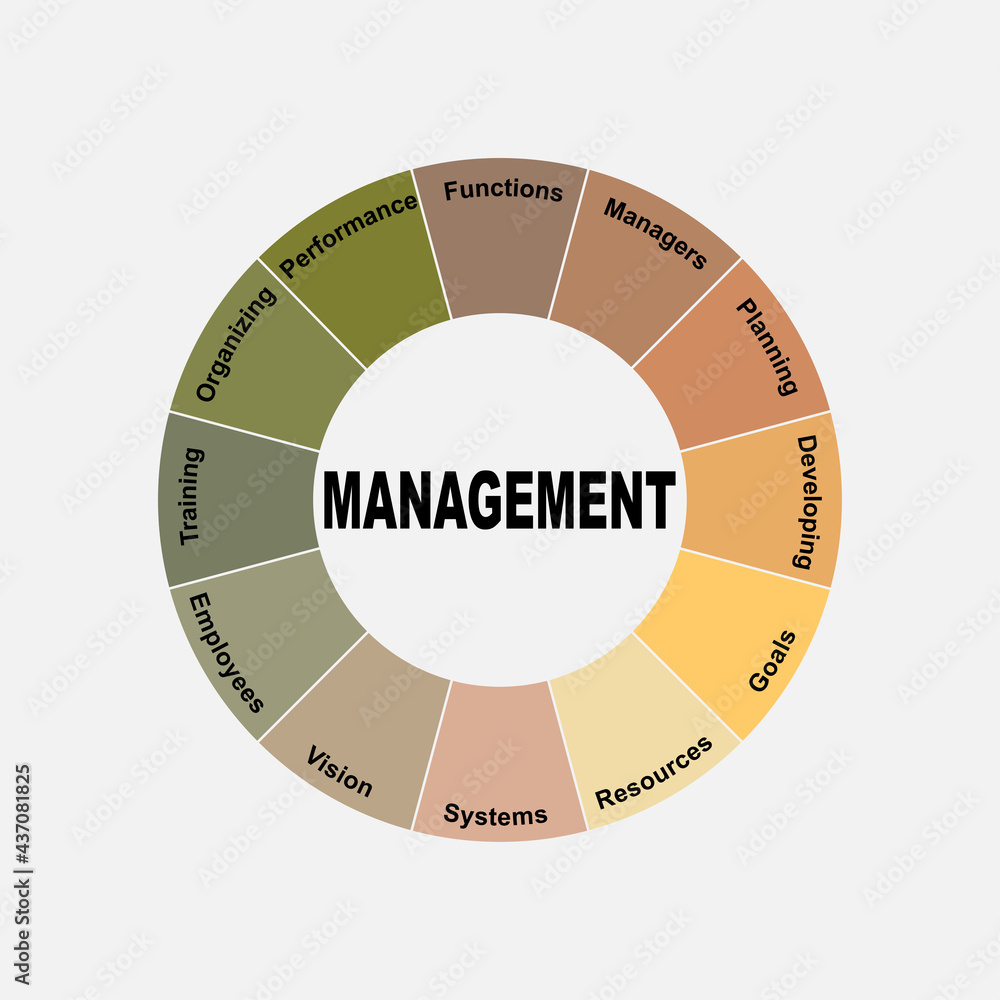 Diagram concept with Management text and keywords. EPS 10 isolated on white background Diagram concept with Management text and keywords. EPS 10 isolated on white background