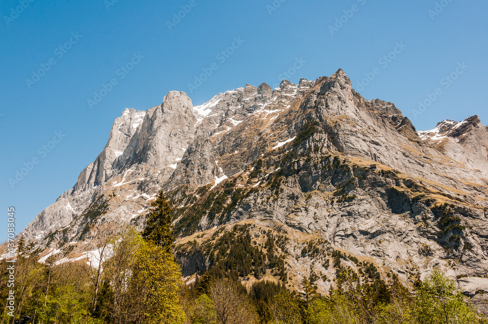 Grindelwald, Schreckhorn, Pfingstegg, Mettenberg, Gletscher, Alpen, Berner Oberland, Finsteraarhorn, Fiescherhörner, Wanderweg, Bergdorf, Frühling, Sommer, Schweiz