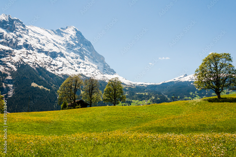 Grindelwald, Eiger, Eigernordwand, Alpen, Berner Oberland, Kleine Scheidegg, Wanderweg, Männlichen, Lauberhorn, Bergdorf, Frühling, Sommer, Schweiz