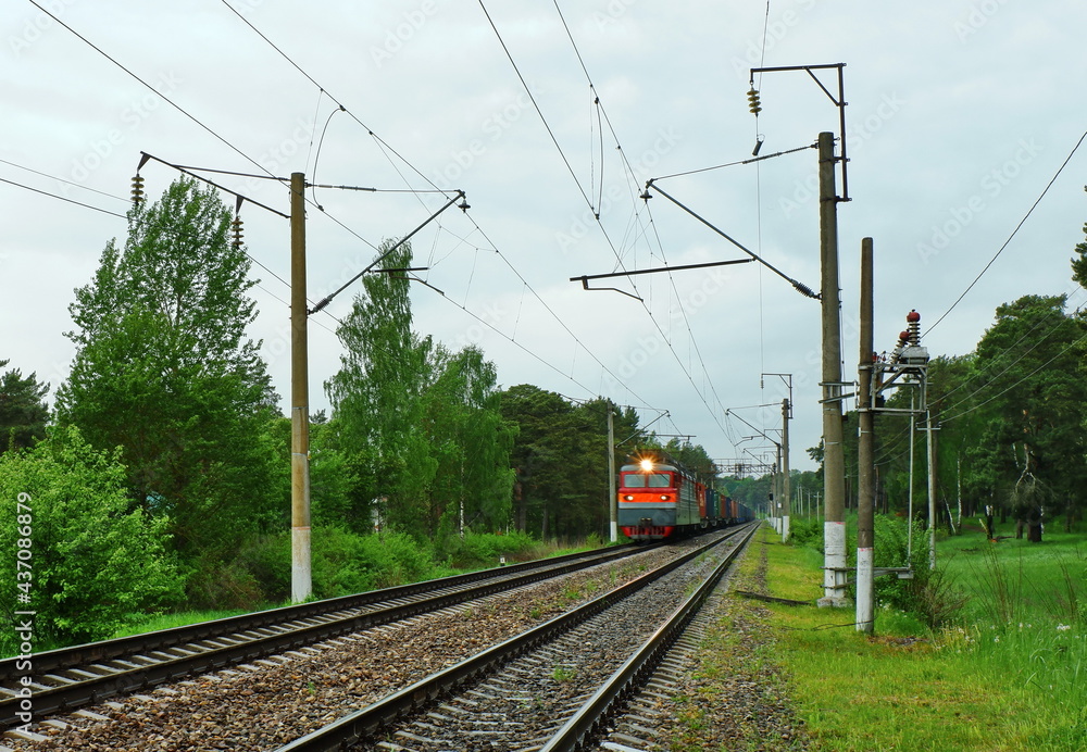 commuter train and railway in the forest