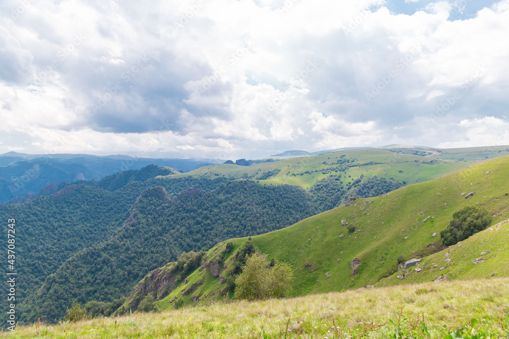 Fototapeta premium Mountain summer. Sunny day. Green grass and flowers